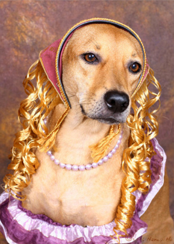 Illustration for article titled The 40 Sluttiest Dog Halloween Costumes